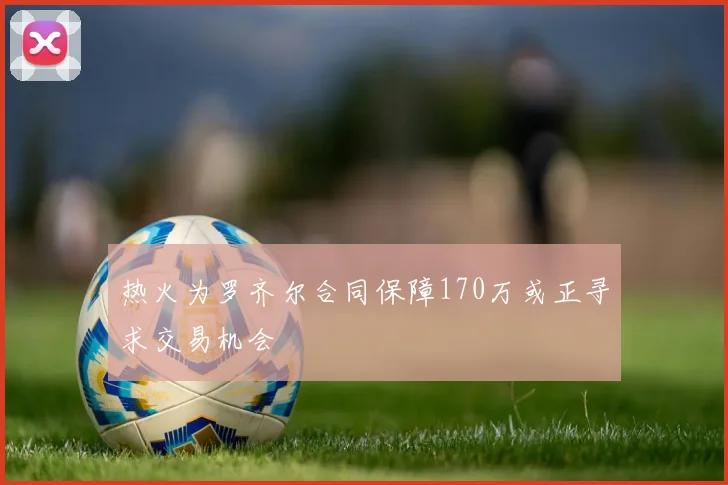 热火为罗齐尔合同保障170万或正寻求交易机会